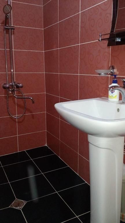 Отель Hotel Golden Fleece Кутаиси-60