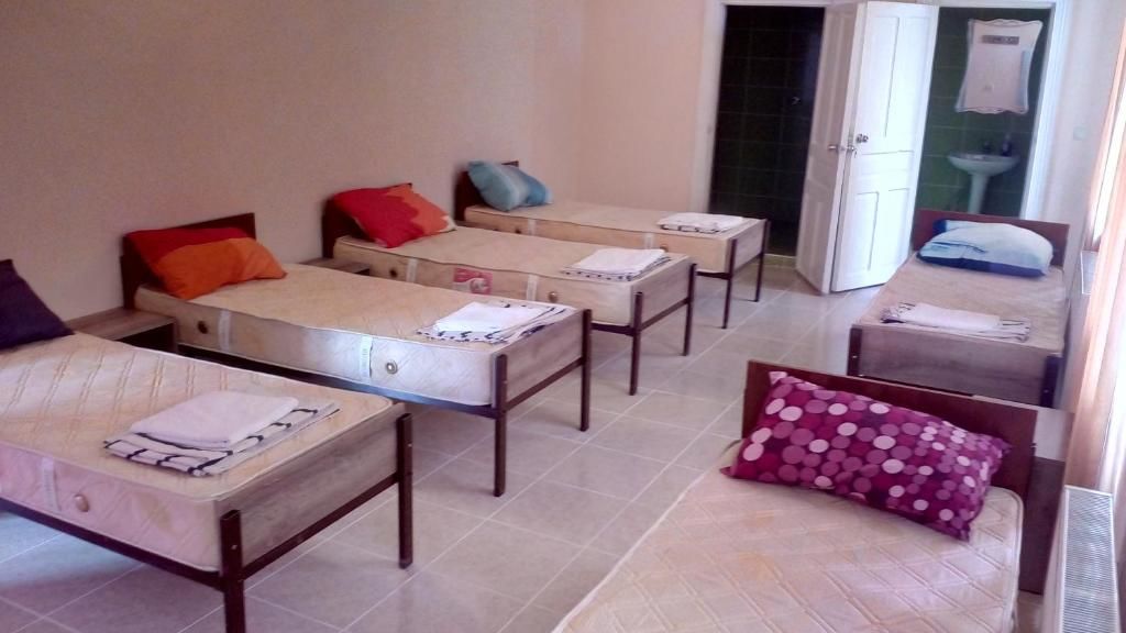 Отель Hotel Golden Fleece Кутаиси-64