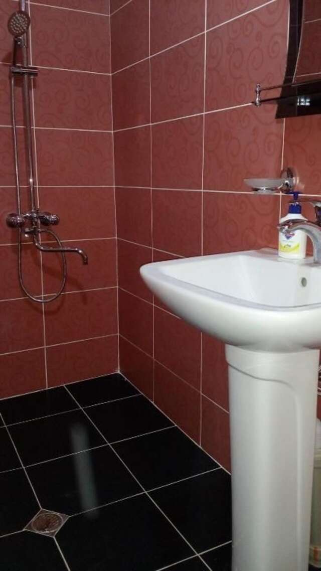 Отель Hotel Golden Fleece Кутаиси-59